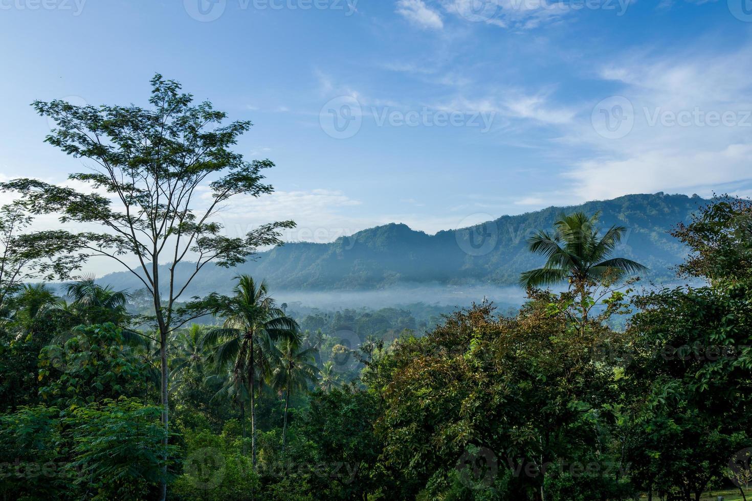 naturen i borobudurtemplet är aof yogyakarta foto