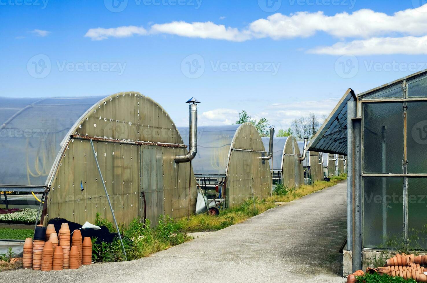 växthus och kastruller foto