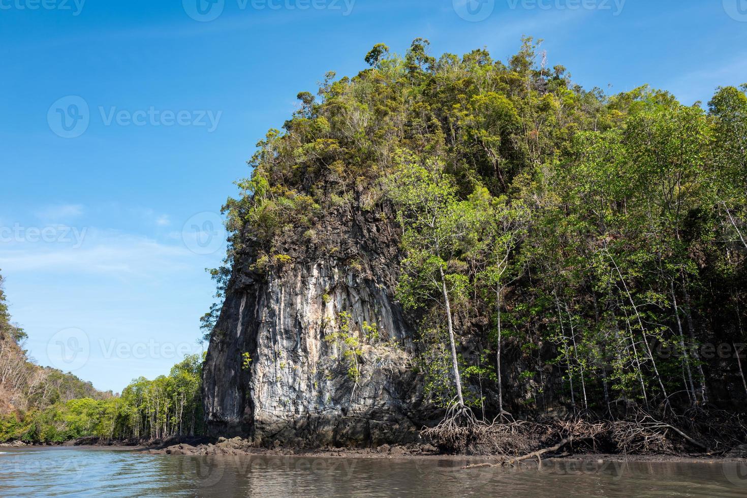 mangroves turné i kilim karst geoforest i langkawi foto