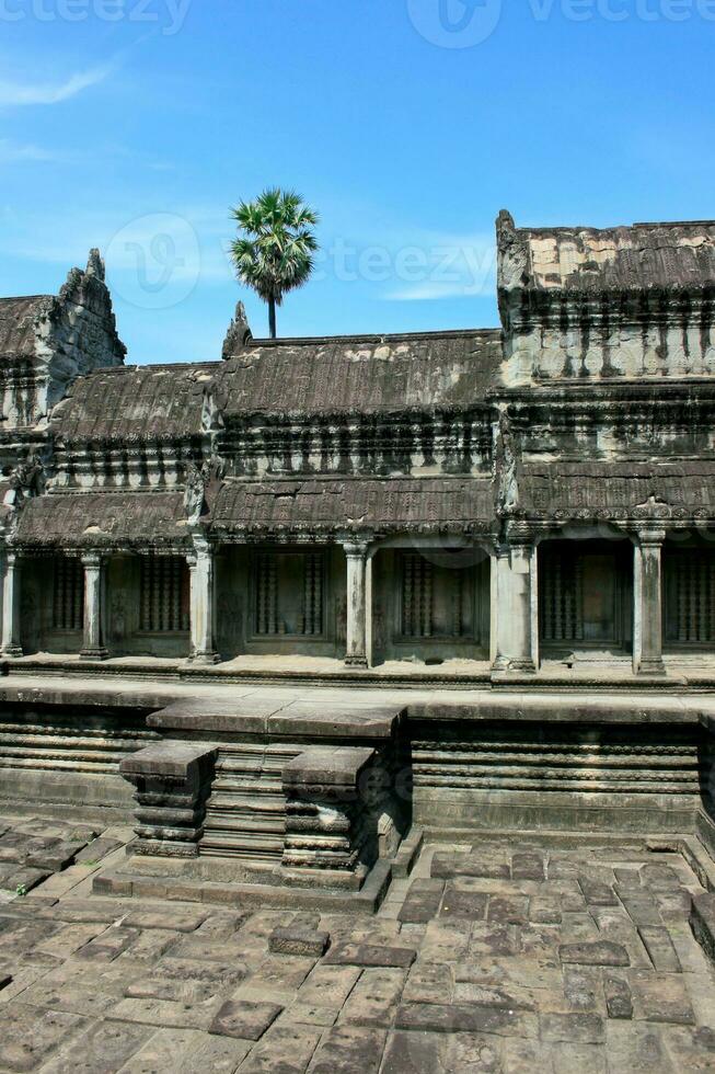 angkor wat i siem reap foto