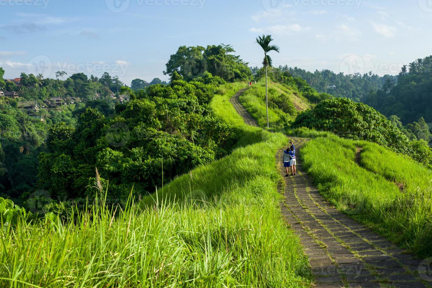 Campuhan Ridge promenad i Ubud i Bali foto