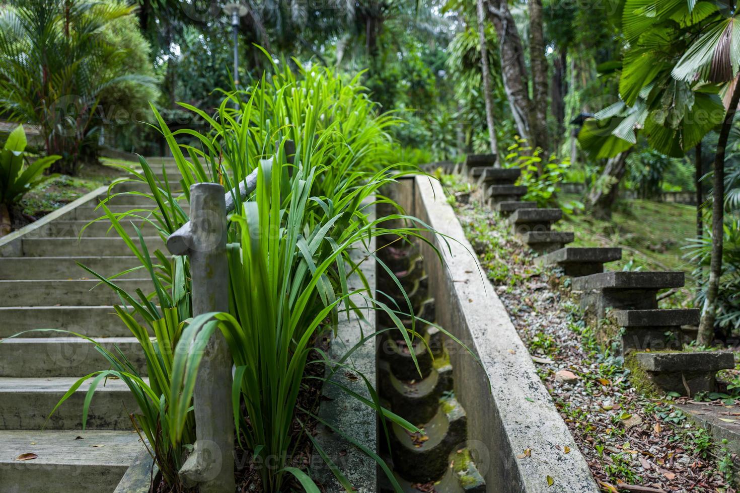 botaniska trädgården i Kuala Lumpur foto
