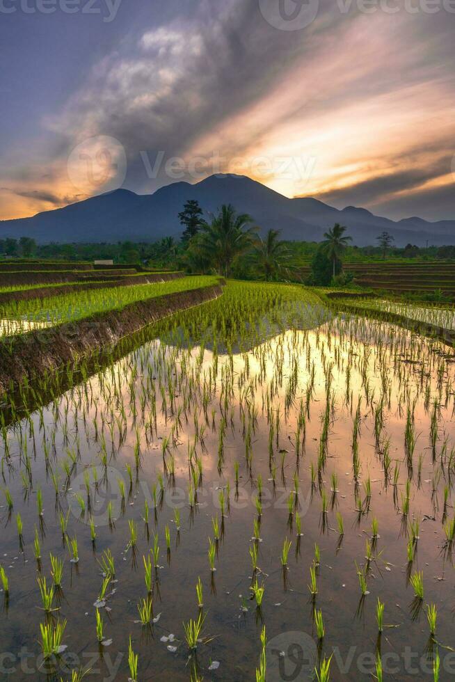 skön morgon- se indonesien panorama landskap irländare fält med skönhet Färg och himmel naturlig ljus foto