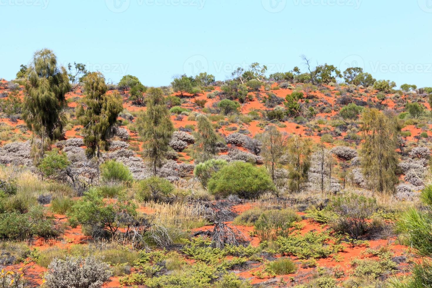 ayers rock flygplats grunder norra territorium australien foto