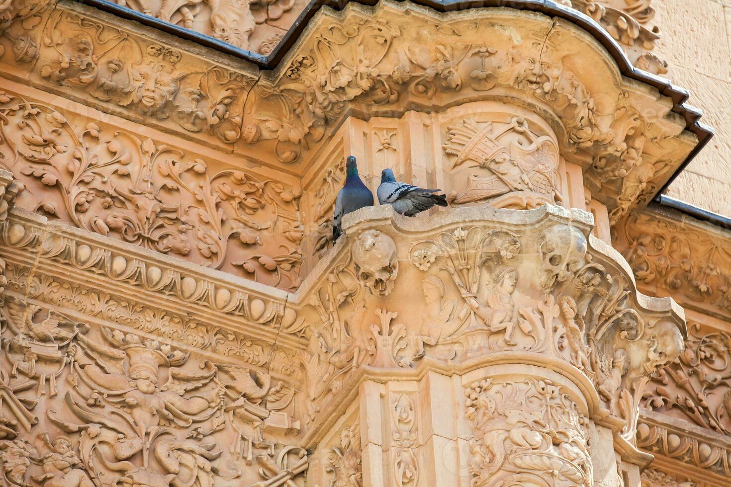 detalj av de skön Fasad av de historisk byggnad av de universitet av salamanca Inklusive de känd groda på topp av en mänsklig skalle foto