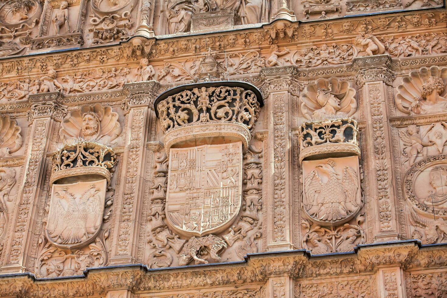 detalj av de skön Fasad av de historisk byggnad av de universitet av salamanca foto