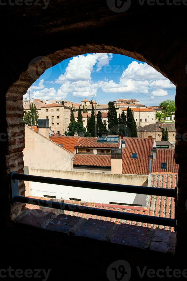 se av de skön salamanca gammal stad i en solig tidigt vår dag foto