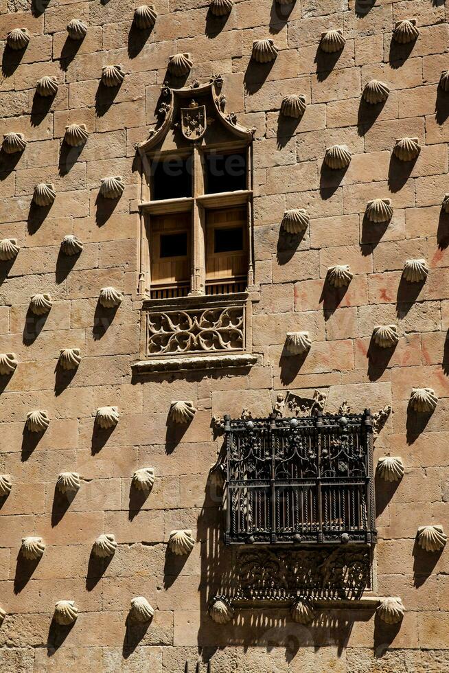 detalj av de fönster av de historisk hus av de skal byggd i 1517 förbi rodrigo arior de maldonado riddare av de beställa av santiago de kompostela i salamanca, Spanien foto