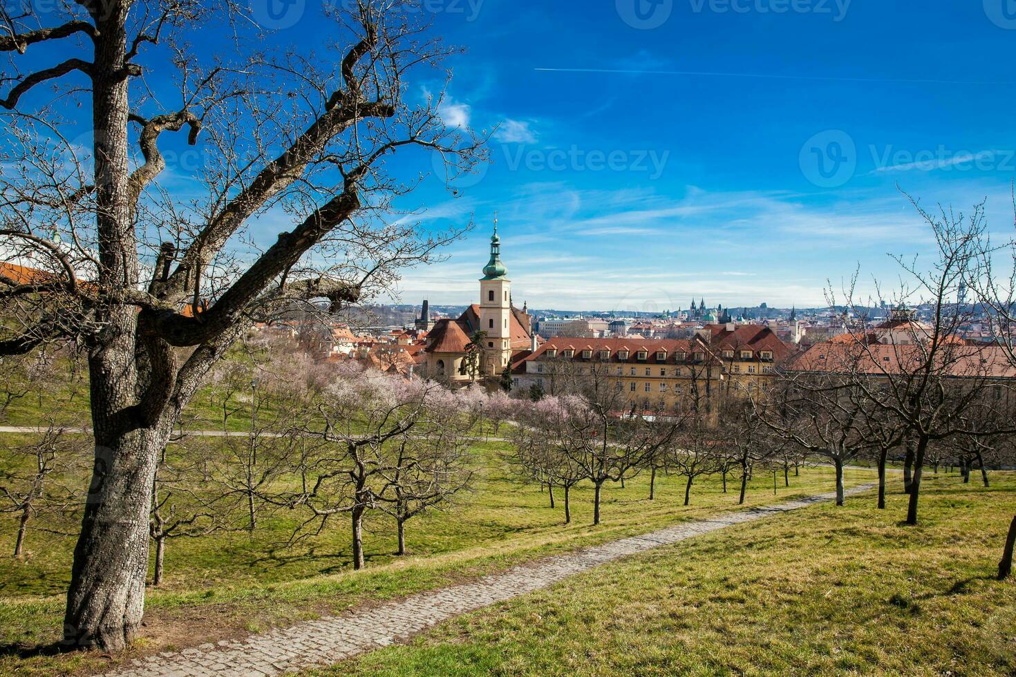 prag stad sett från de petrin trädgårdar på de början av vår foto