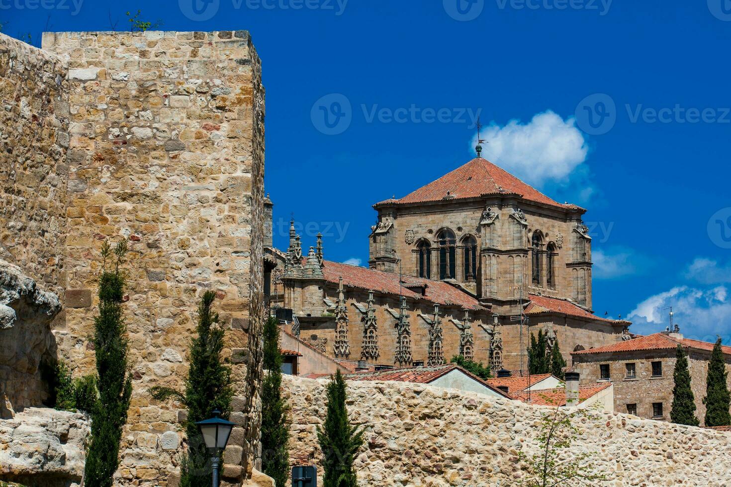 resterna av de historisk salamanca gammal stad väggar i en skön tidigt vår dag foto