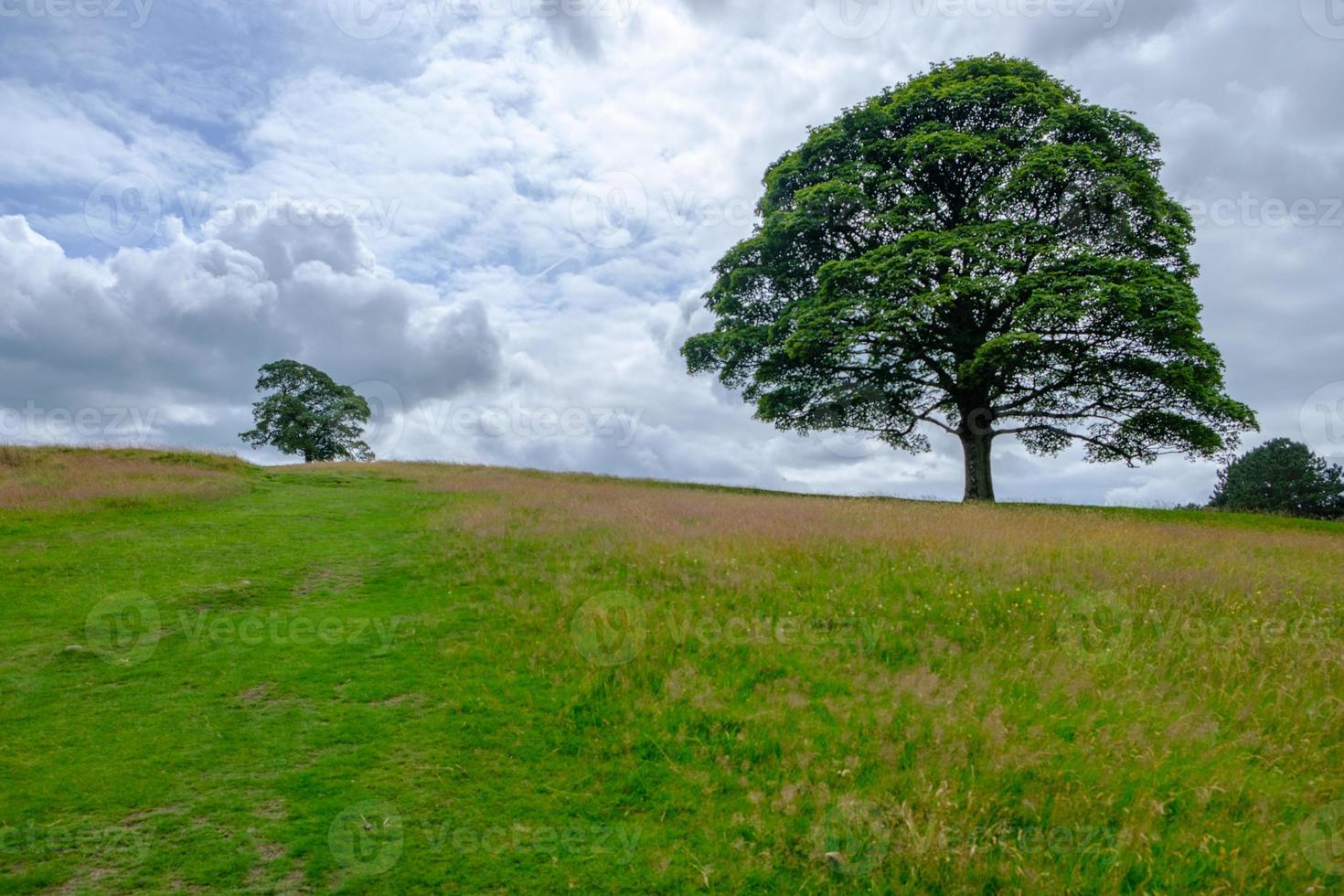 vackert landskap i Lyme Park Estate, Peak District, Storbritannien foto