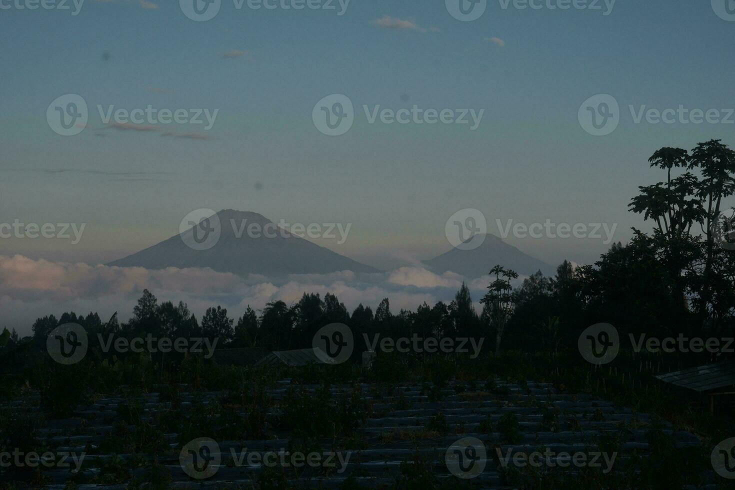 natur av indonesien foto