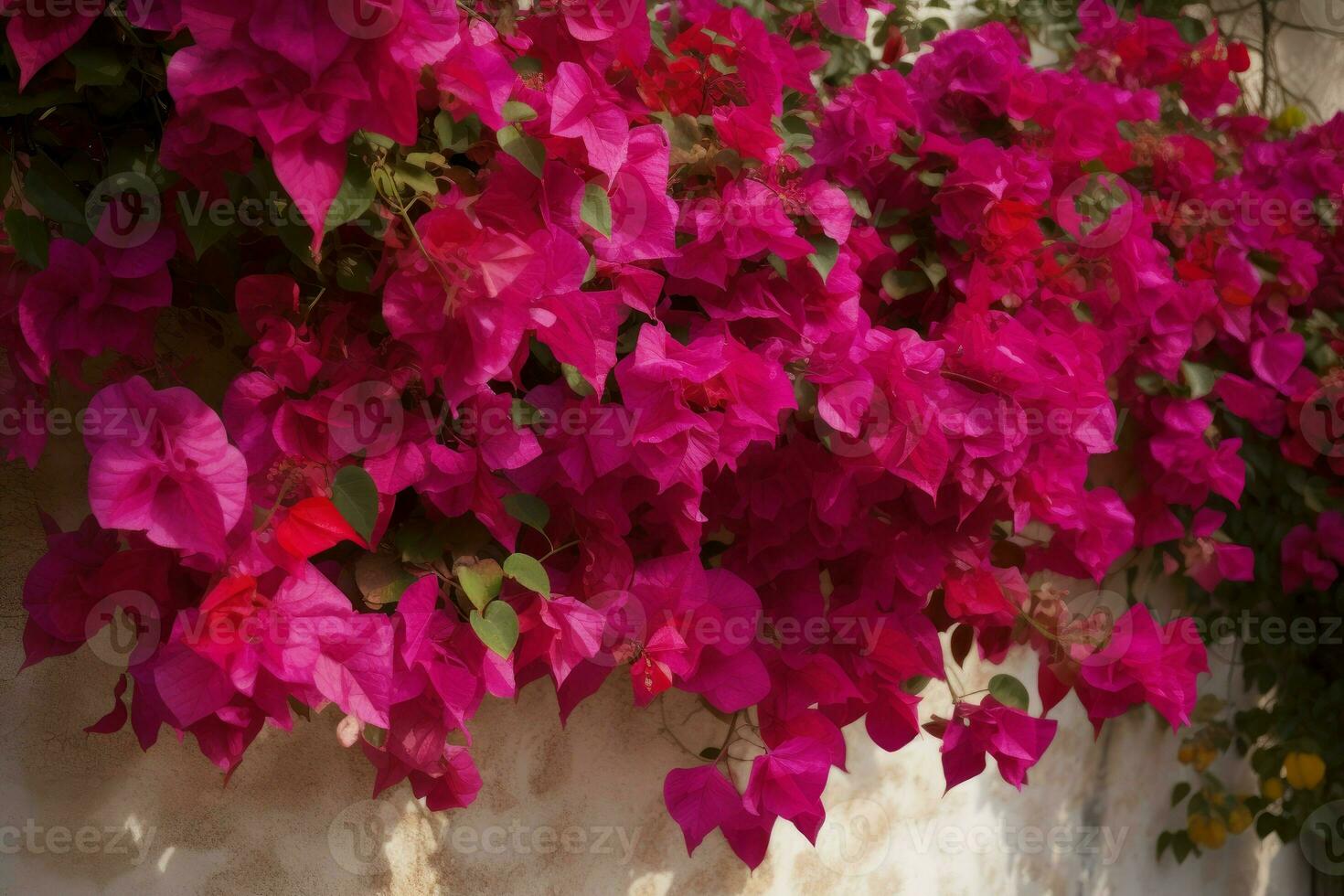 bougainville blommor tropisk. generera ai foto