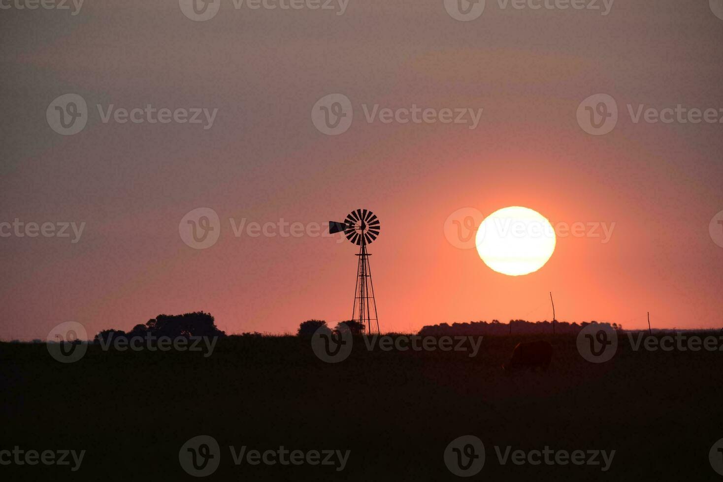 väderkvarn i landsbygden på solnedgång, pampas, patagonien, argentina. foto