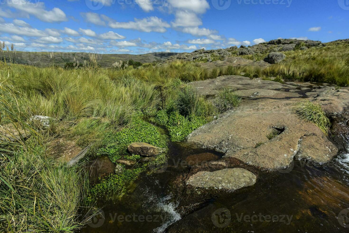 quebrada del condorito nationell park, Cordoba provins, argentina foto