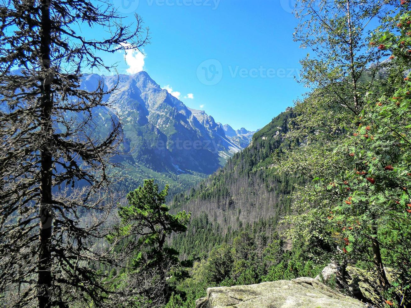 utsikt över de vackra höga tatrabergen i Slovakien foto