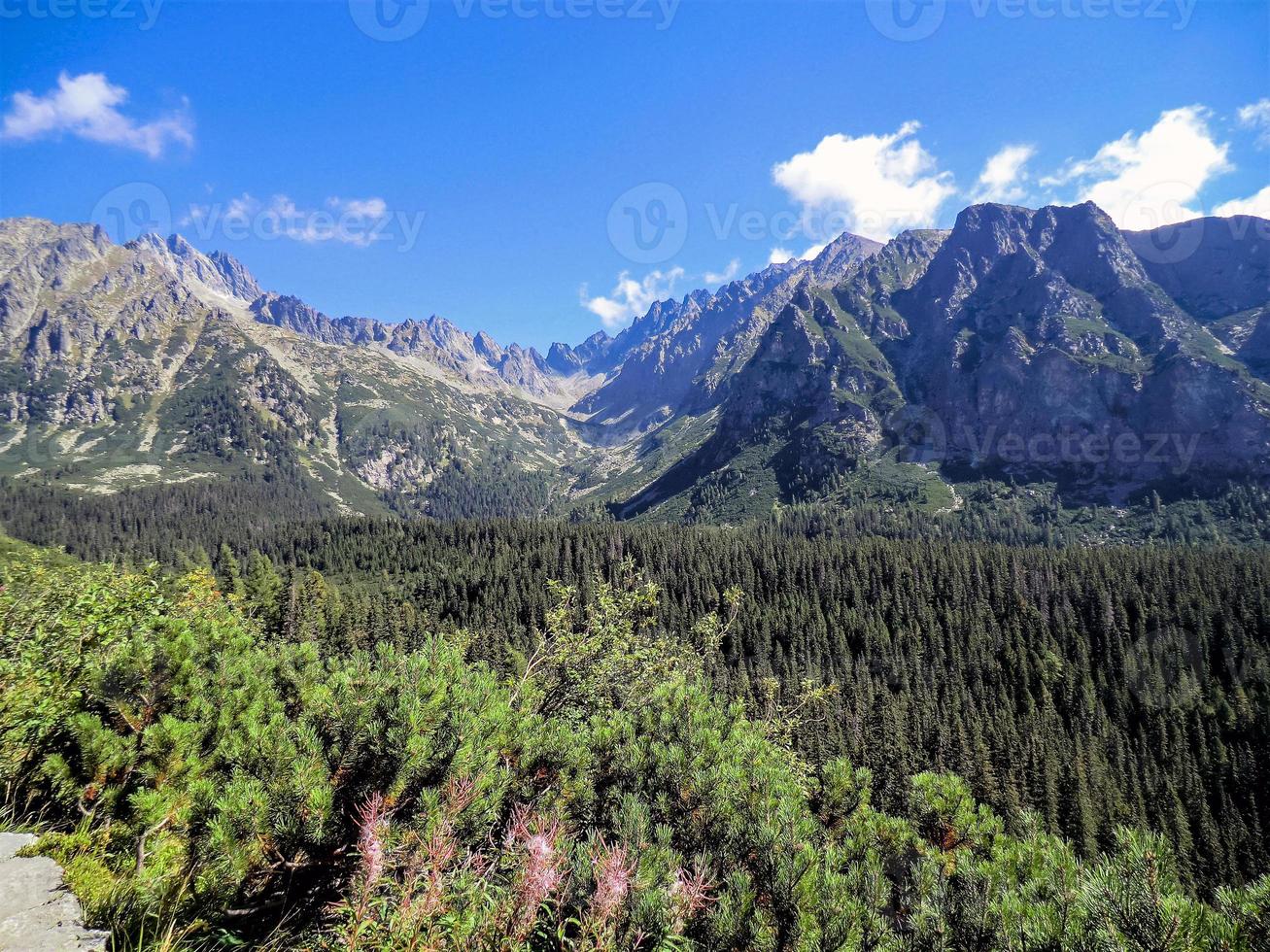 vacker utsikt i de höga Tatra bergen i Slovakien foto