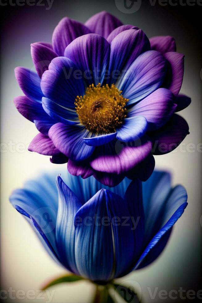 en stänga upp av en lila och blå blomma. ai genererad foto