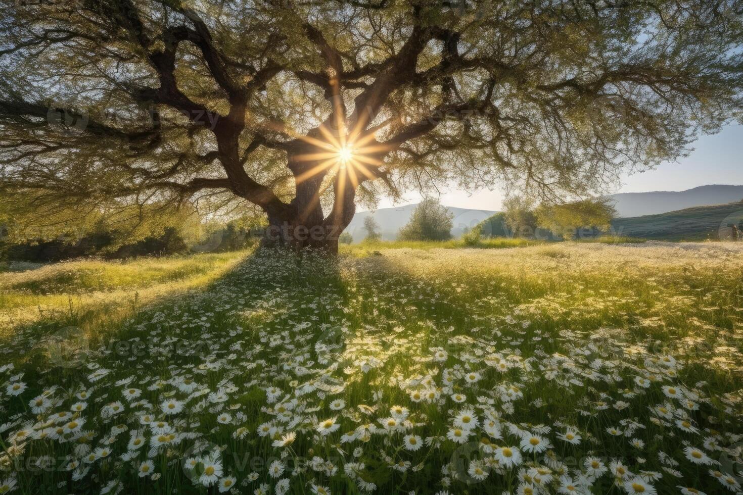 vår blomning äng med träd i bakgrund på soluppgång. generativ ai foto