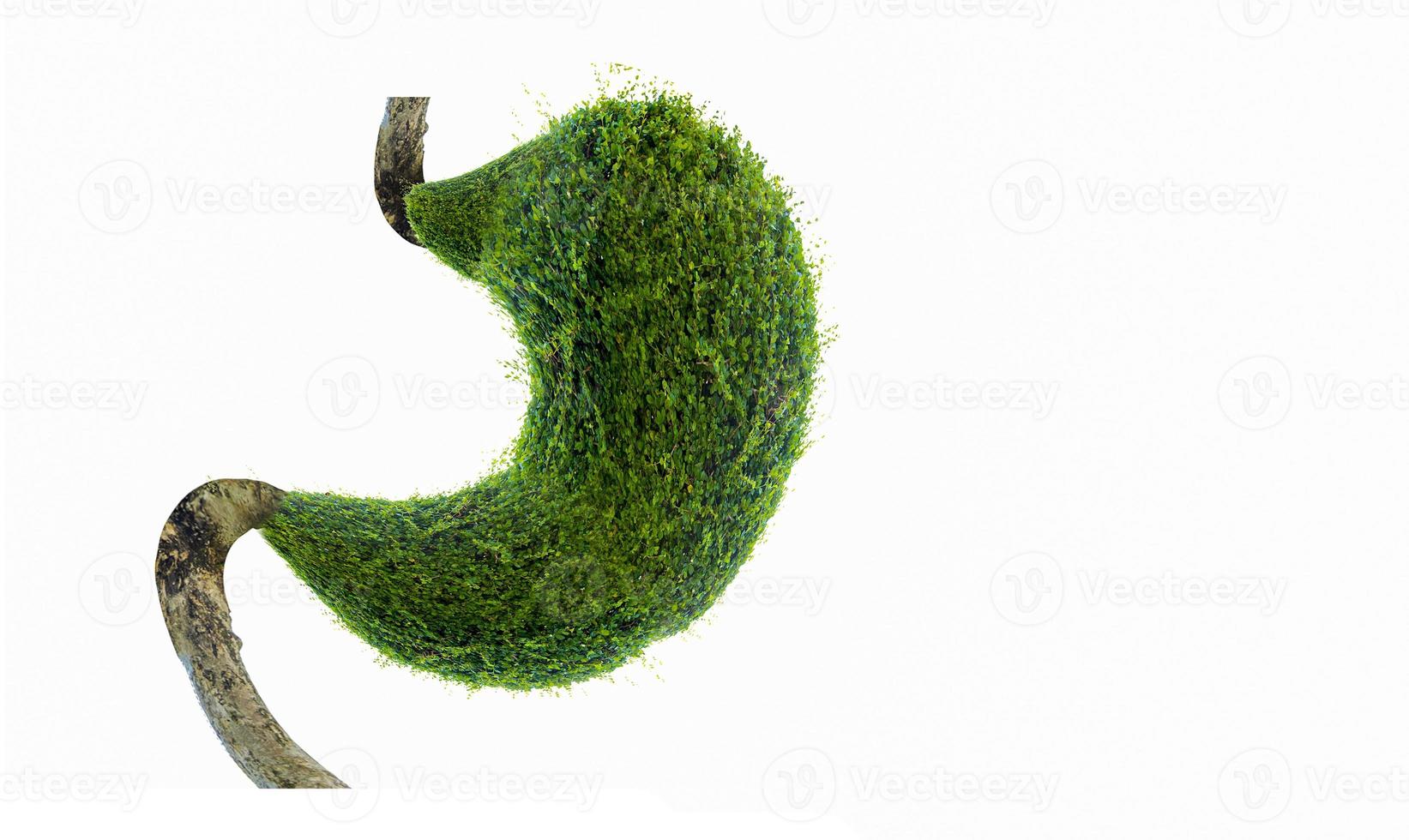 mänsklig mage formad av gröna träd, miljö koncept foto
