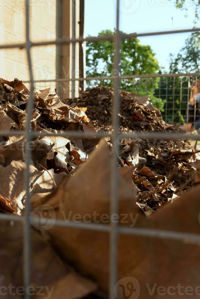 lagring plats för kompost. lagring plats för kompost med höst löv kompost i de trädgård. foto