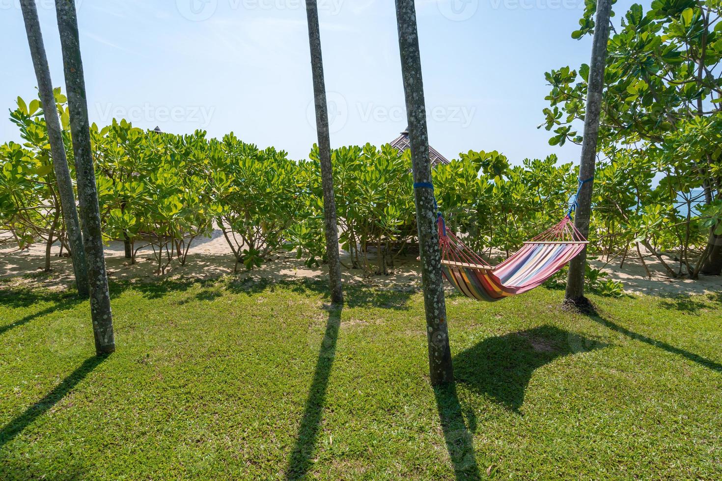 tropisk strand med hängmatta under palmerna i solljus foto