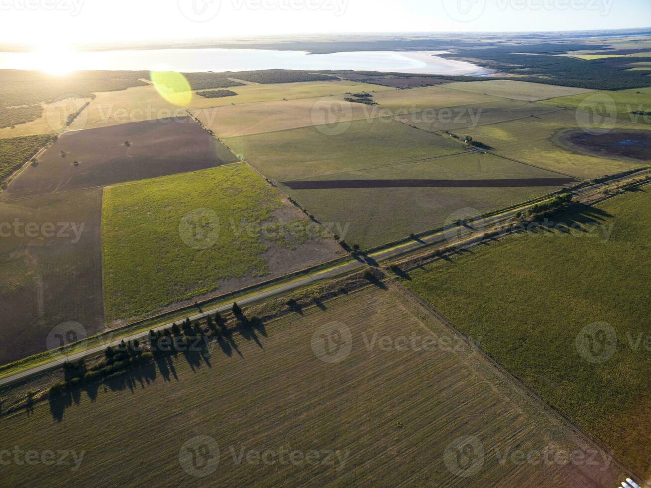 kultiverad landa, antenn se, la pampa, argentina foto