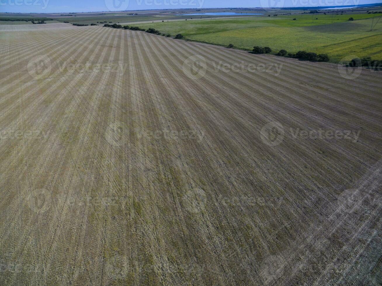 kultiverad landa, antenn se, la pampa, argentina foto