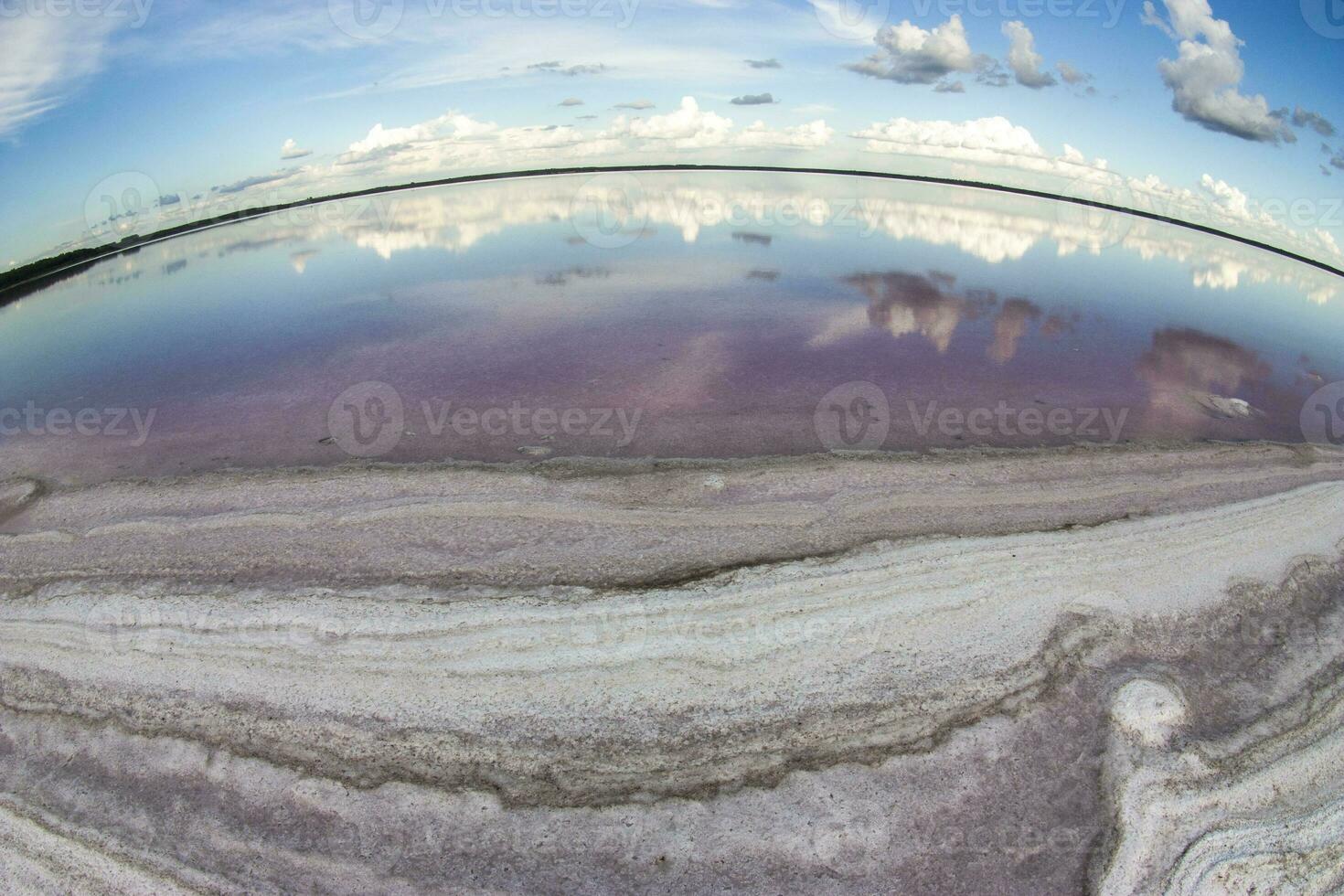 salt fält i dunaliella salina, argentina foto