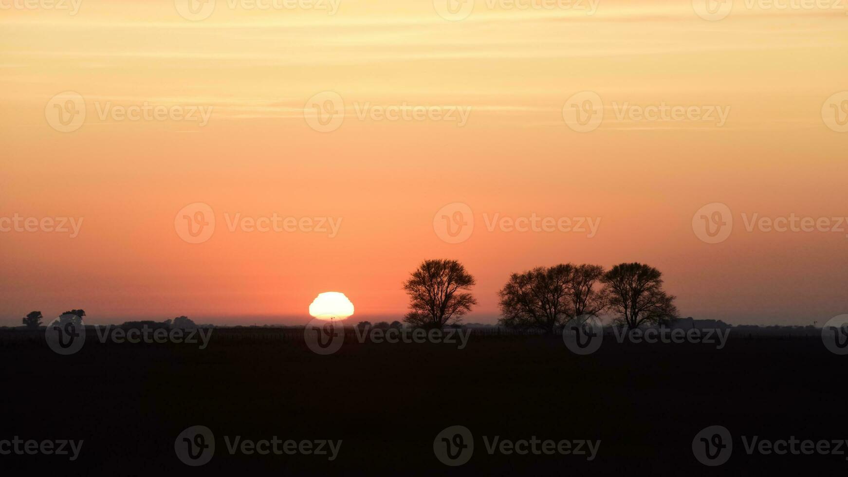 landskap i las pampas, argentina foto