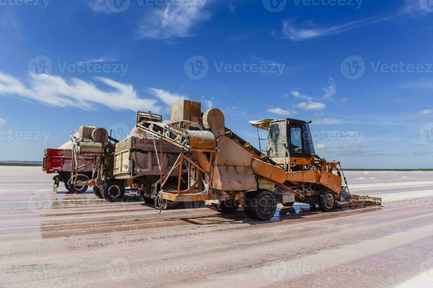 salt fält i dunaliella salina, argentina foto