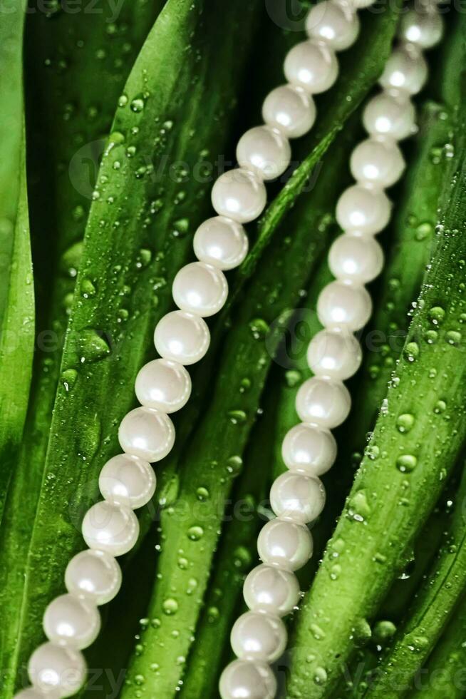 pärlor i exotisk grön löv, lyx smycke foto