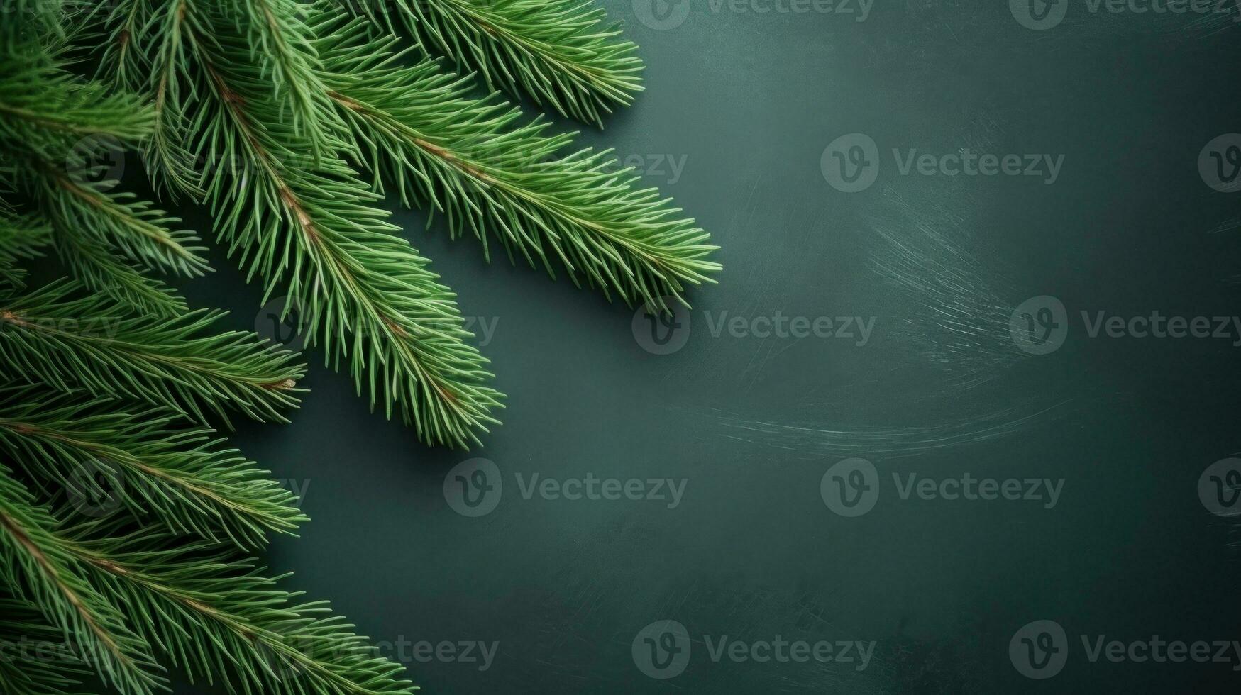 jul gran gren på grön bakgrund foto