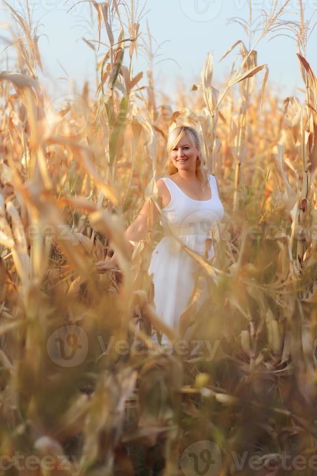 kvinna i en vit sommar lång klänning går på ett majsfält och poserar i solnedgången. foto