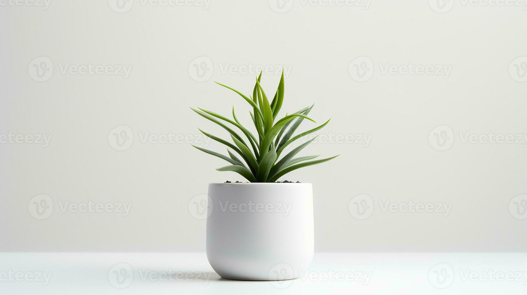 Foto krukväxt i minimalistisk pott för Hem dekoration. generativ ai