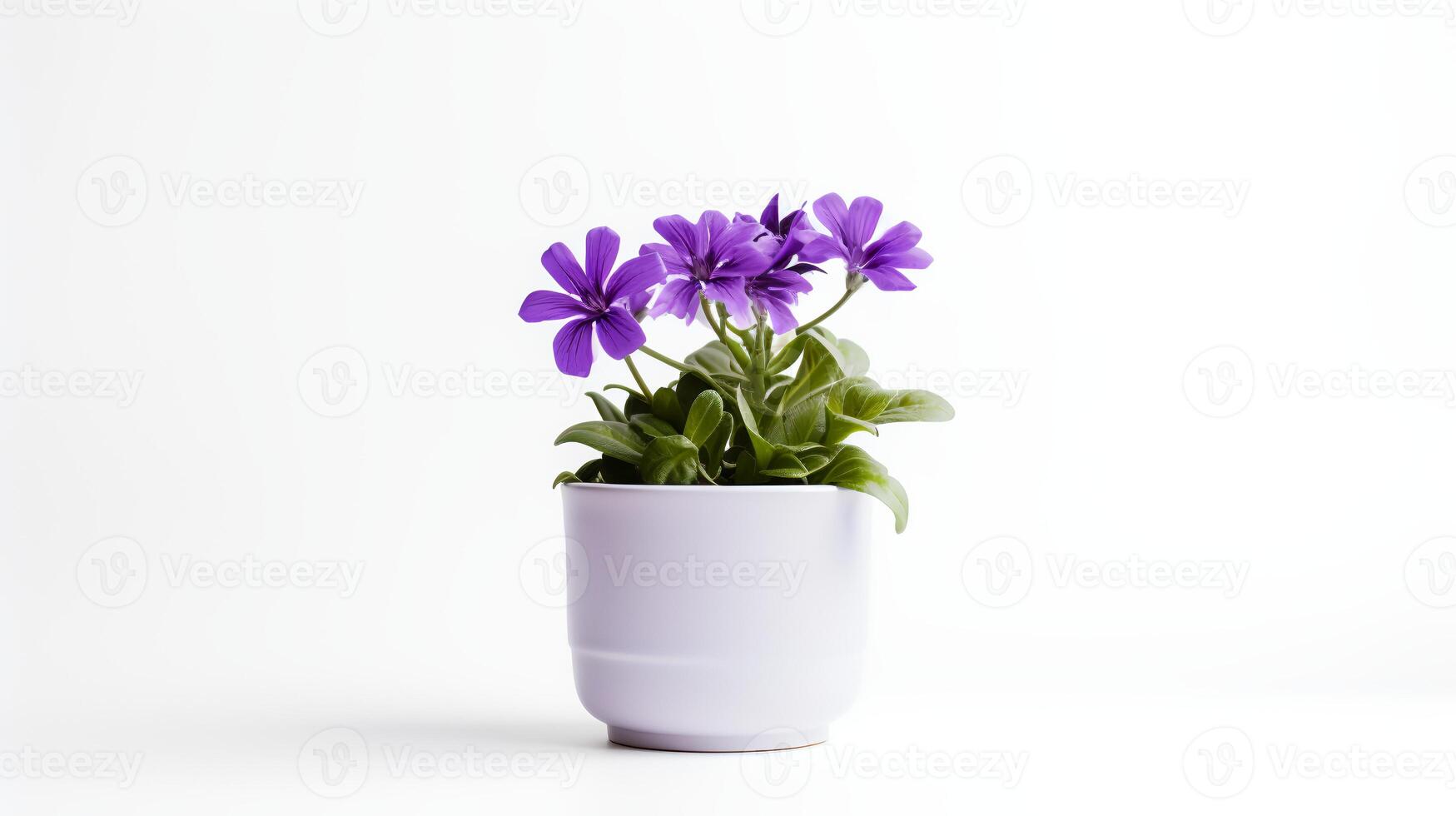 Foto av violett blomma i minimalistisk pott som krukväxt för Hem dekoration isolerat på vit bakgrund. generativ ai