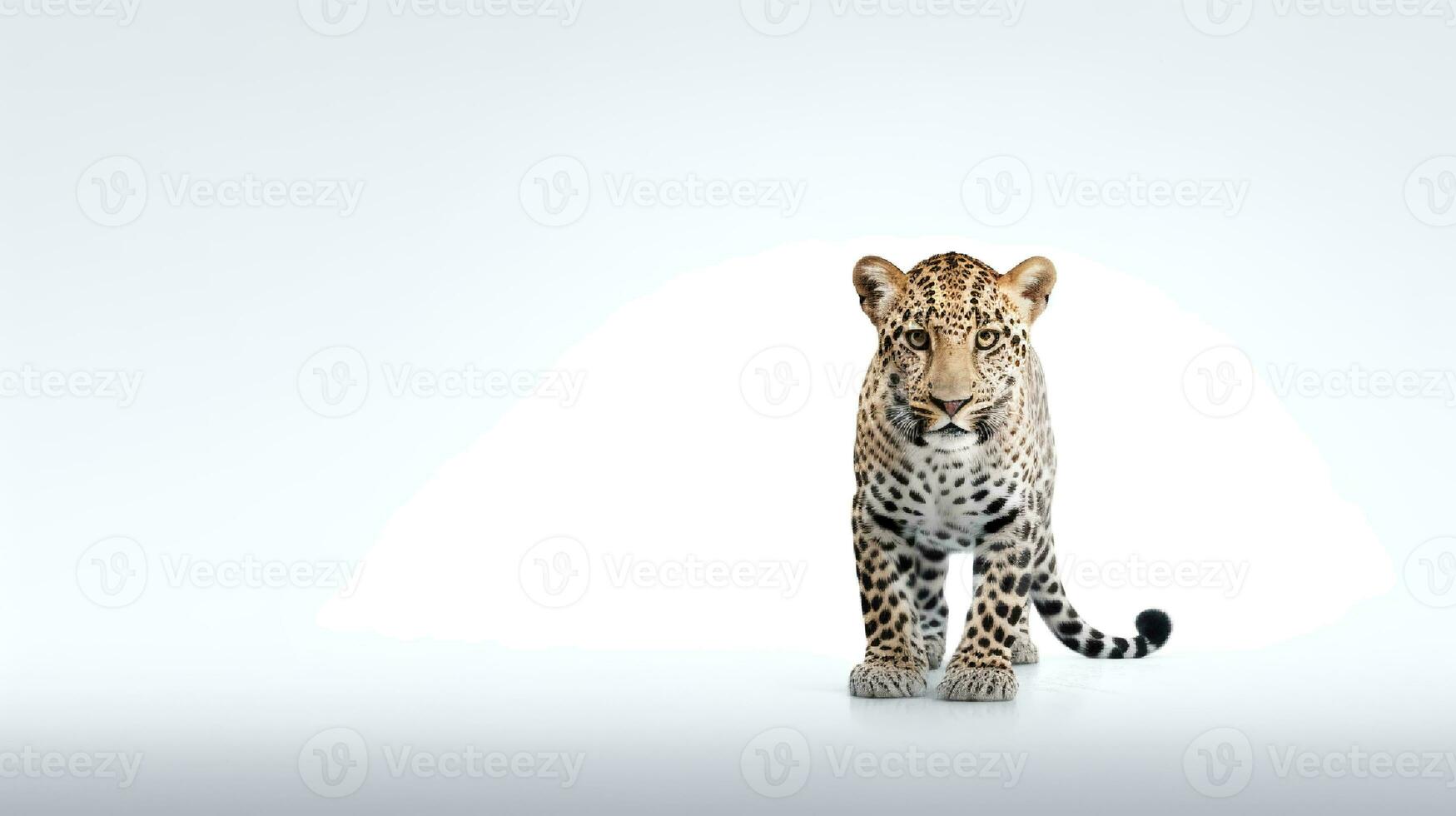 Foto av en jaguar på vit bakgrund. generativ ai