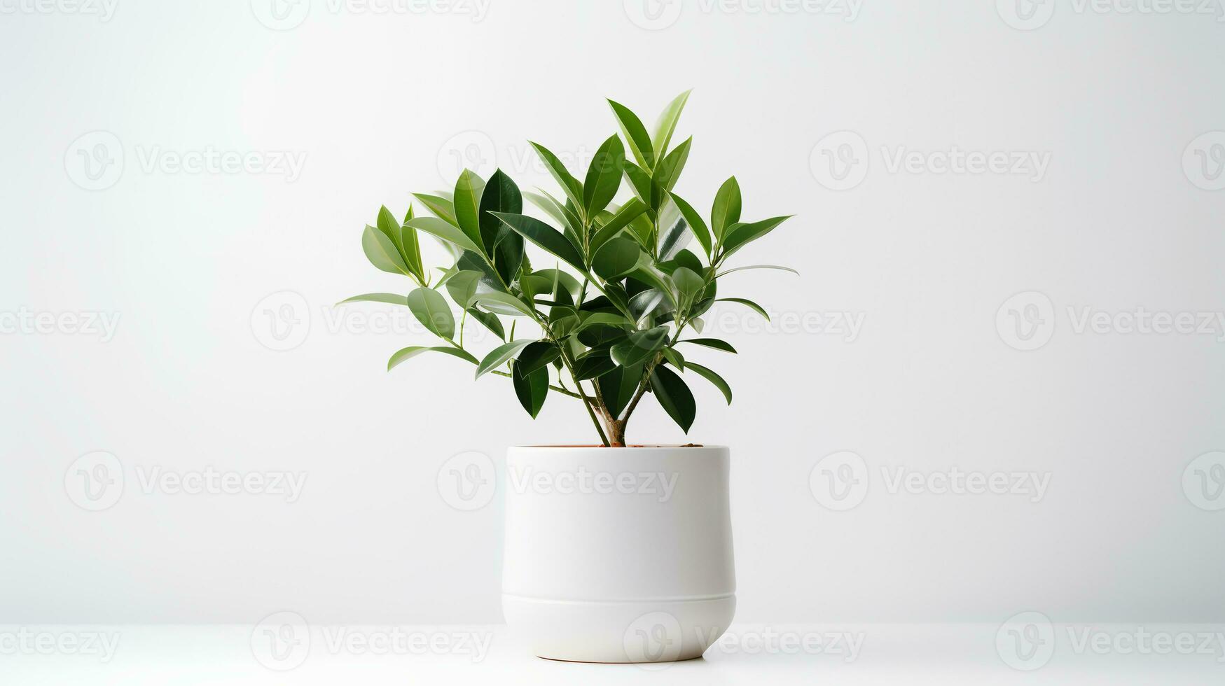Foto av zamioculcas zamiifolia i minimalistisk pott som krukväxt för Hem dekoration isolerat på vit bakgrund. generativ ai