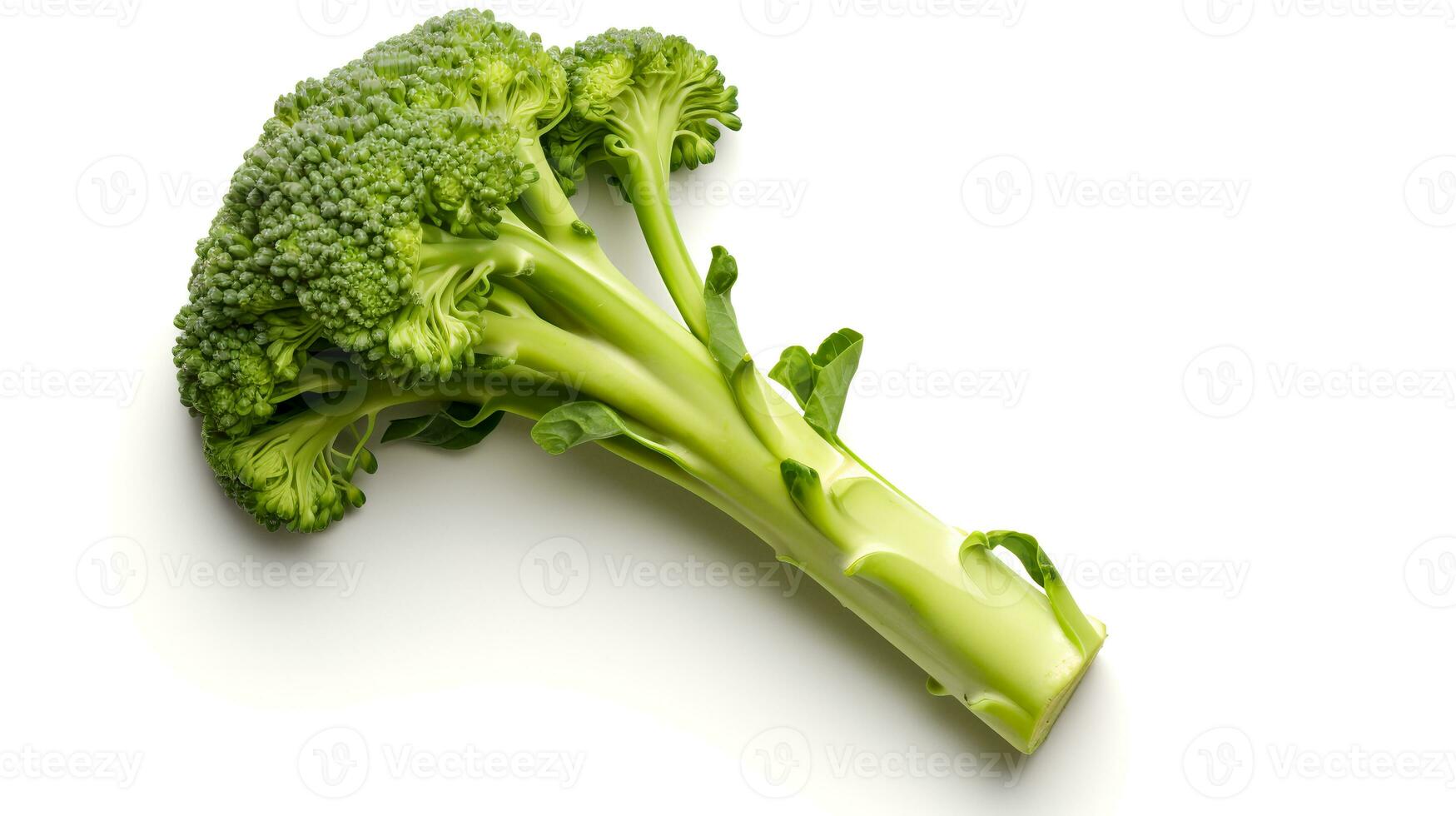 Foto av broccolini isolerat på vit bakgrund