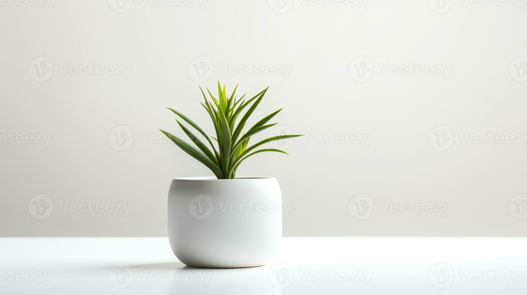 Foto krukväxt i minimalistisk pott för Hem dekoration. generativ ai