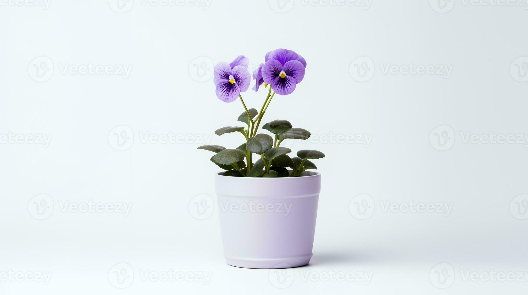 Foto av violett blomma i minimalistisk pott som krukväxt för Hem dekoration isolerat på vit bakgrund. generativ ai