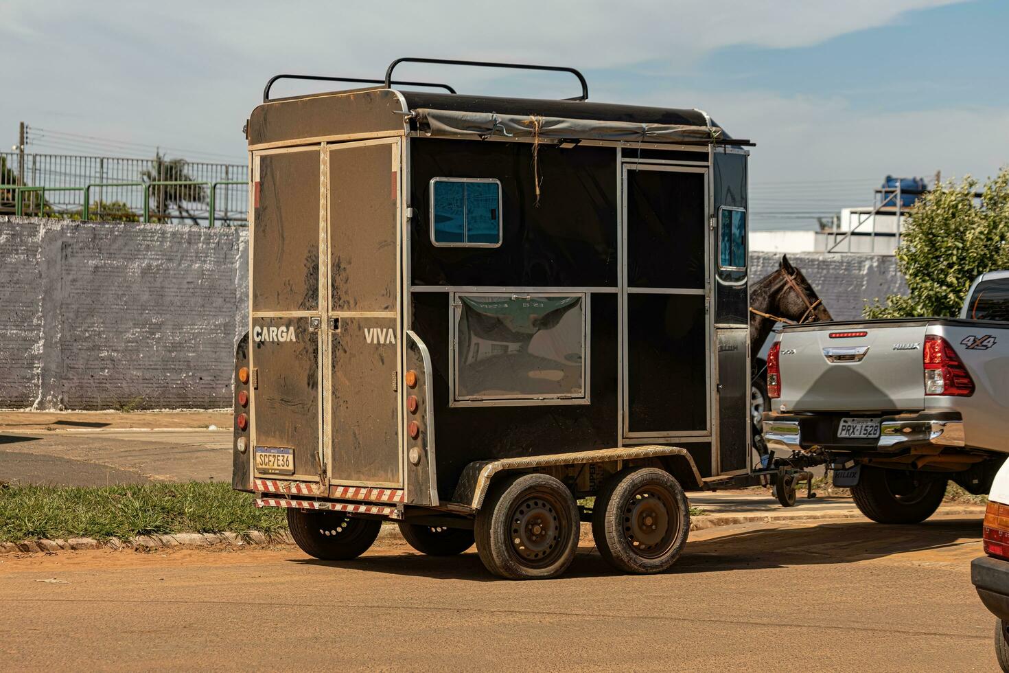apore, goias, Brasilien - 05 07 2023 häst- djur- transport trailer foto