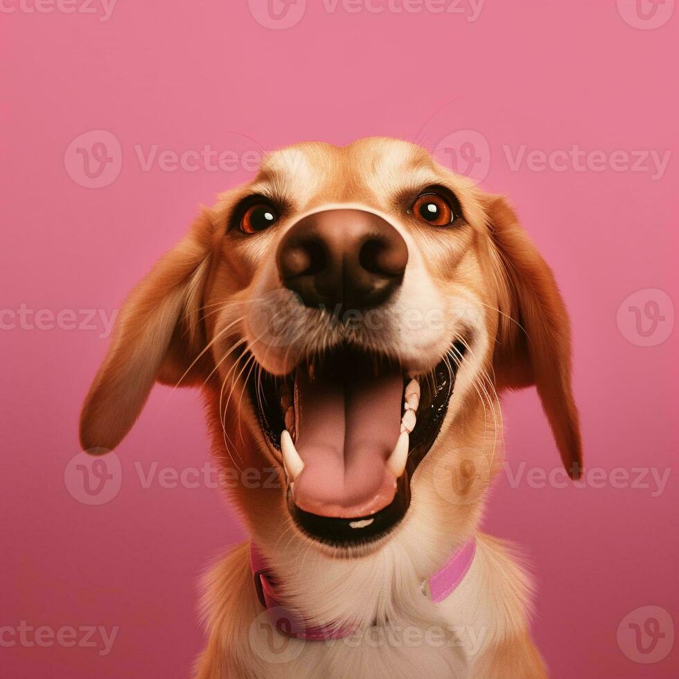 generativ ai, porträtt av en Lycklig hund ser på de kamera med mun öppen på rosa bakgrund foto