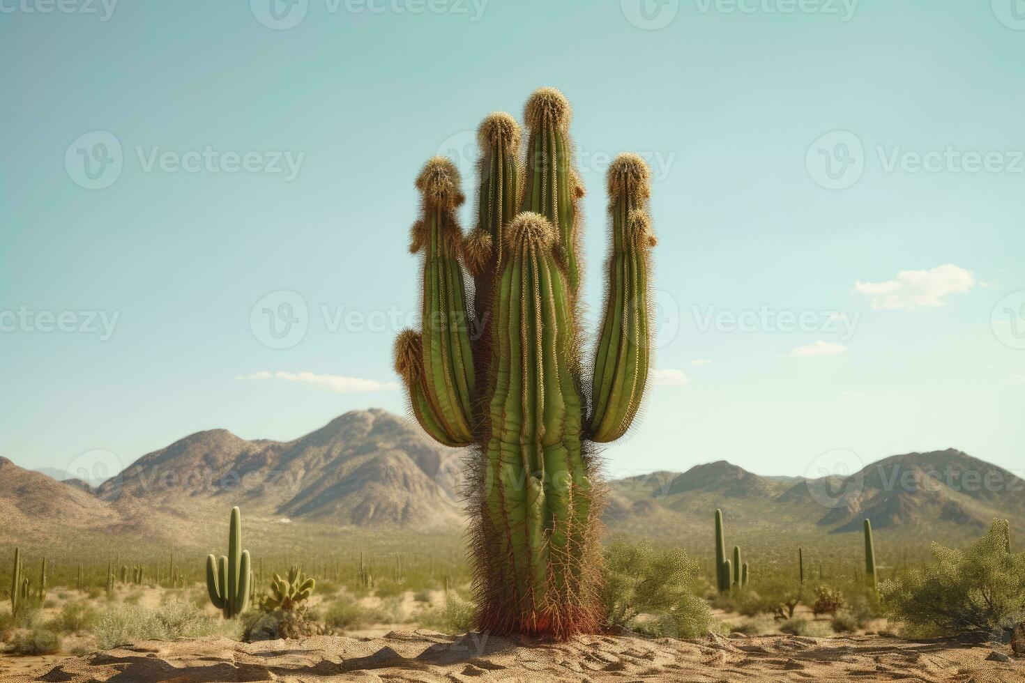 Foto av kaktus träd i de mitten av de öken. generativ ai