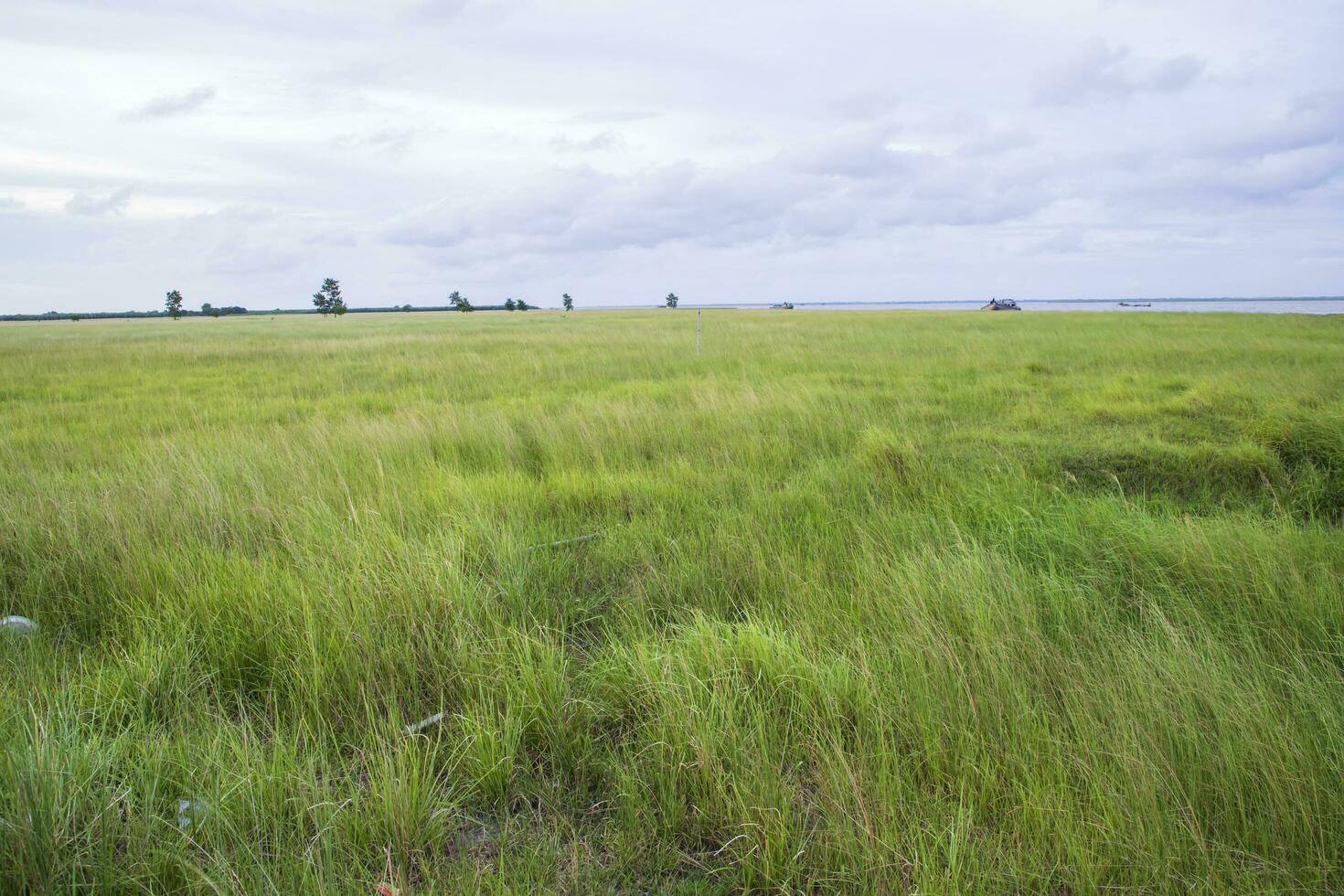 naturlig landskap se av grön gräs fält med blå himmel foto