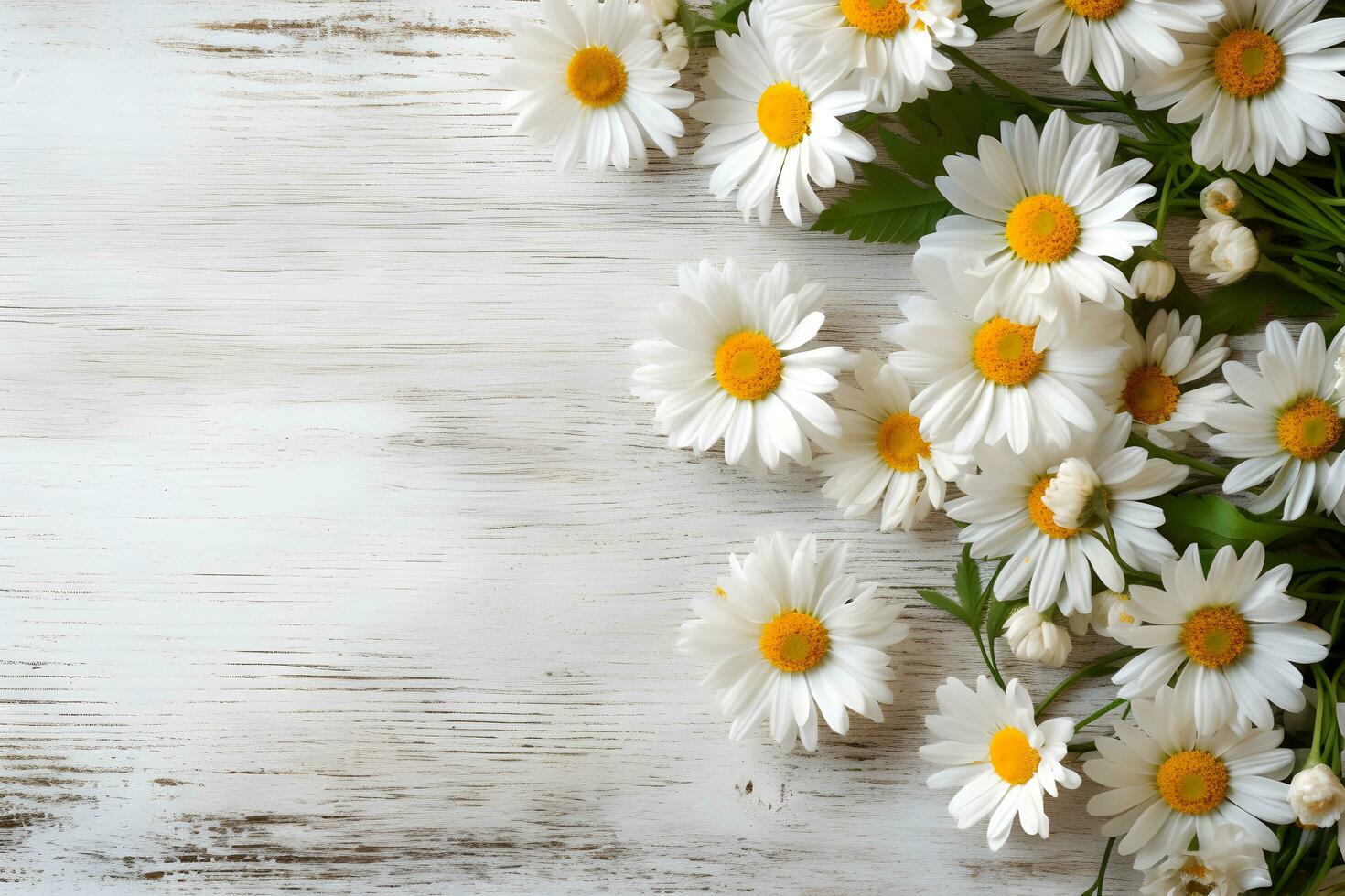 daisy blommor på vit trä- bakgrund, sommar kamomill platt lägga. alla hjärtans dag, kvinnor, mödrar dag, födelsedag eller bröllop begrepp. topp se. kopia Plats. genererad ai. foto