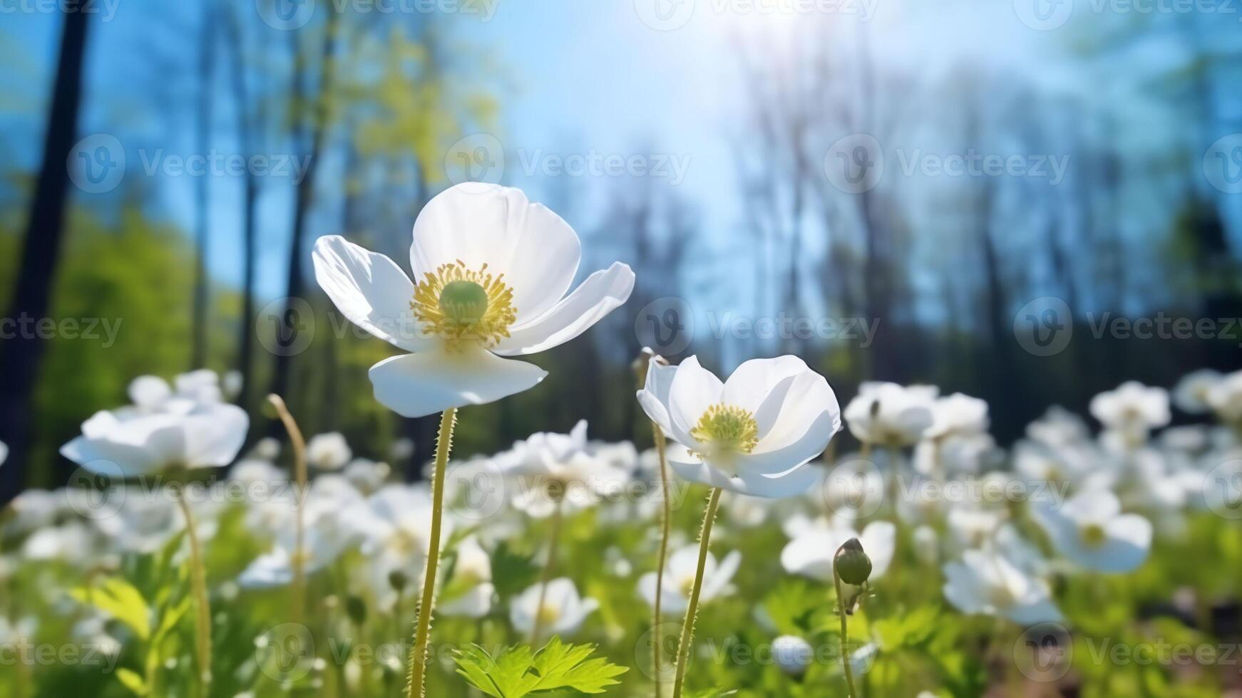 ai generativ vit blommor i de skog anemoner i de grön gräs nära de träd skön natur landskap foto