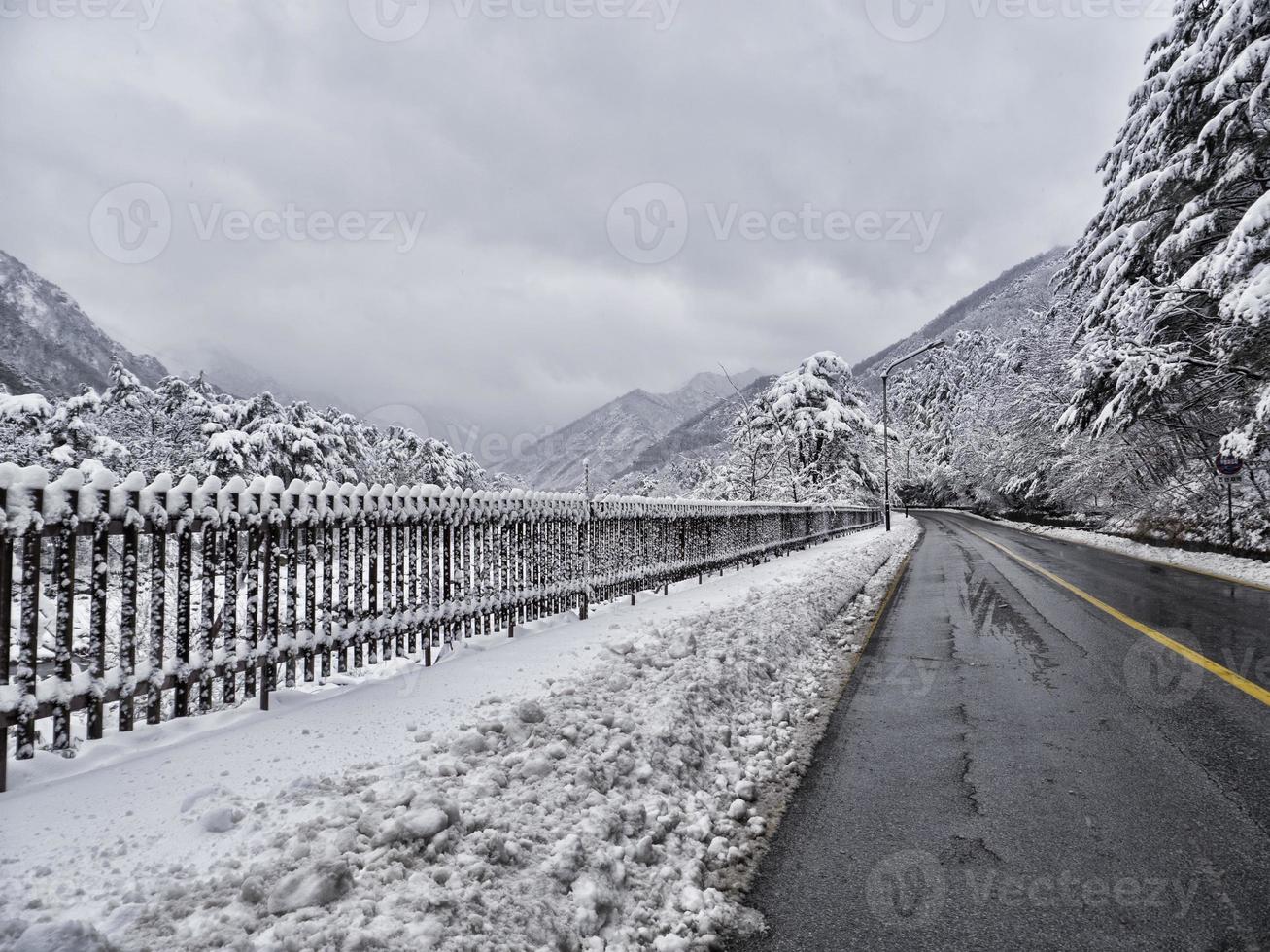 snötäckt skogsväg i berg. Seoraksan nationalpark. Sydkorea foto