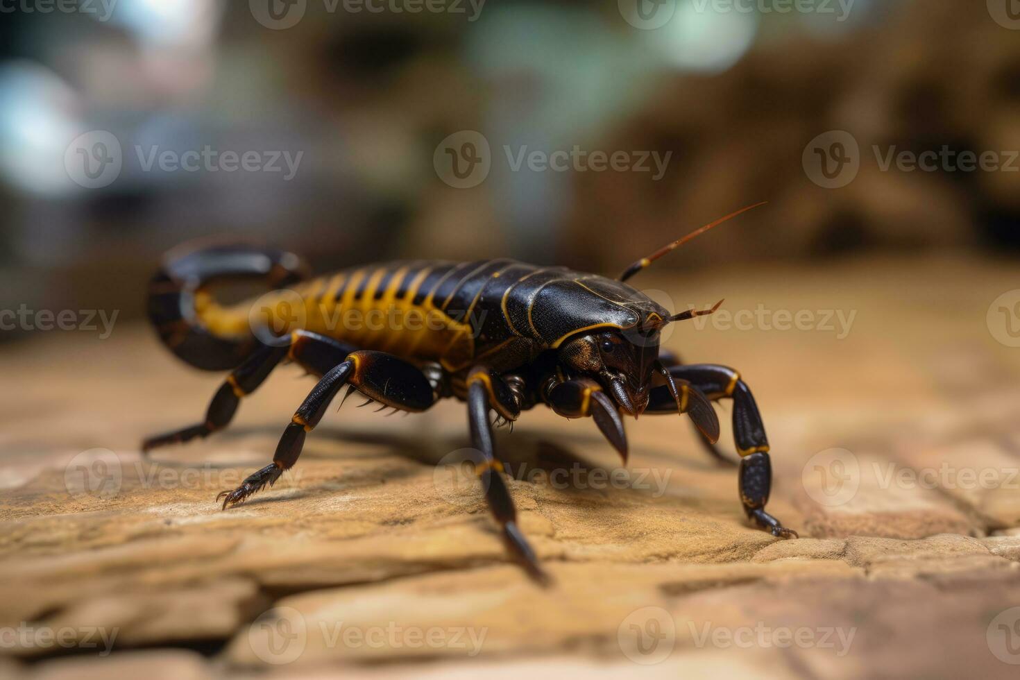 skorpion i natur, nationell geografi, bred liv djur. ai genererad. foto