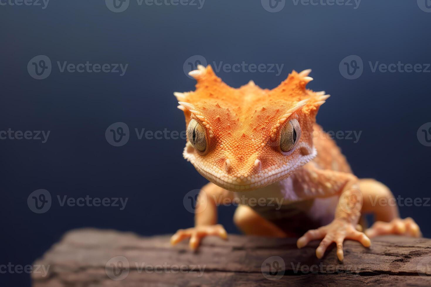 söt naken geckoödlor i natur, nationell geografi, bred liv djur. ai genererad. foto